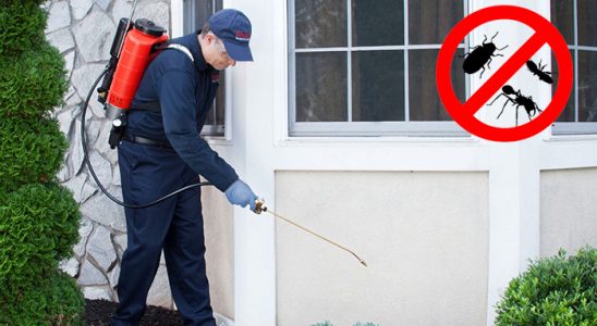 Çamaş Gümüşkurt İlaçlama böcek ilaçlama ve haşere kontrolü — ilaclama-tr.com
